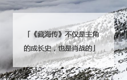 《藏海传》不仅是主角的成长史，也是肖战的