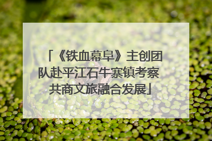 《铁血幕阜》主创团队赴平江石牛寨镇考察 共商文旅融合发展