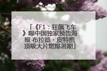 《F1：狂飙飞车》曝中国独家预告海报 布拉德・皮特携顶级大片燃爆暑期