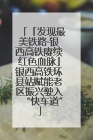 「发现最美铁路·银西高铁赓续红色血脉」银西高铁环县站赋能老区振兴驶入“快车道”