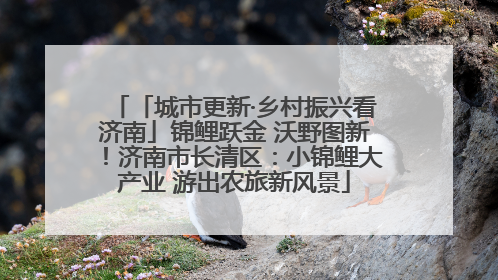 「城市更新·乡村振兴看济南」锦鲤跃金 沃野图新！济南市长清区：小锦鲤大产业 游出农旅新风景