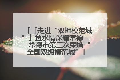 「走进“双拥模范城”」鱼水情深耀常德——常德市第三次荣膺“全国双拥模范城”