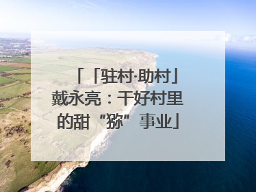 「驻村·助村」戴永亮：干好村里的甜“猕”事业