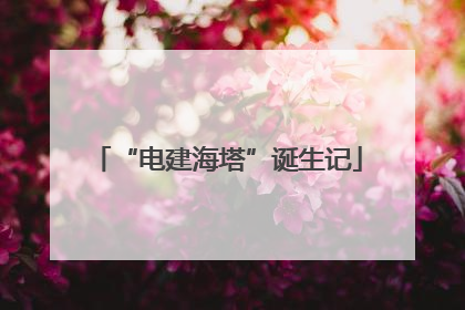“电建海塔”诞生记
