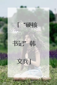 “硬核书记”韩文兵