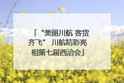 “美丽川航 客货齐飞” 川航精彩亮相第七届西洽会