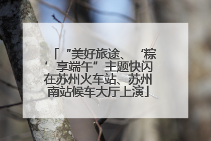 “美好旅途、‘粽’享端午”主题快闪在苏州火车站、苏州南站候车大厅上演