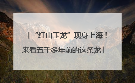 “红山玉龙”现身上海！来看五千多年前的这条龙
