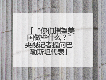 “你们指望美国做些什么？”央视记者提问巴勒斯坦代表