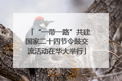 “一带一路”共建国家二十四节令鼓交流活动在华大举行