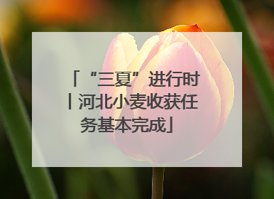 “三夏”进行时丨河北小麦收获任务基本完成