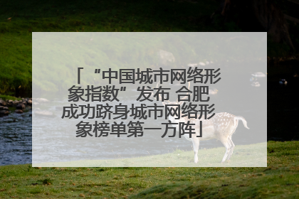 “中国城市网络形象指数”发布 合肥成功跻身城市网络形象榜单第一方阵