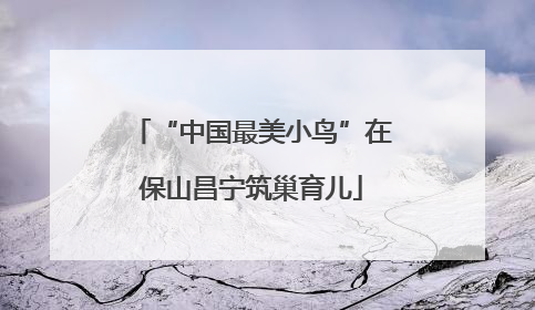 “中国最美小鸟”在保山昌宁筑巢育儿