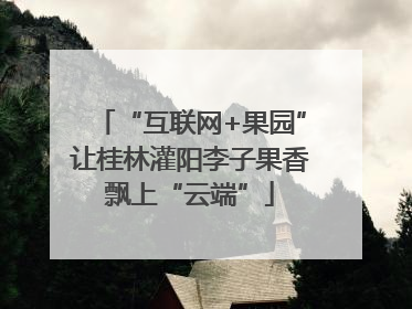 “互联网+果园”让桂林灌阳李子果香飘上“云端”