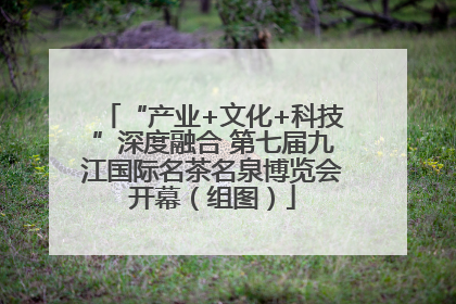 “产业+文化+科技”深度融合 第七届九江国际名茶名泉博览会开幕（组图）
