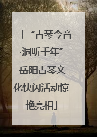 “古琴今音·洞听千年” 岳阳古琴文化快闪活动惊艳亮相
