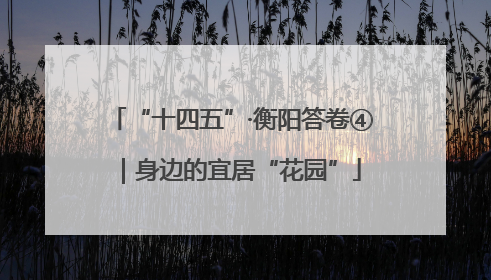 “十四五”·衡阳答卷④｜身边的宜居“花园”