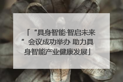 “具身智能·智启未来”会议成功举办 助力具身智能产业健康发展