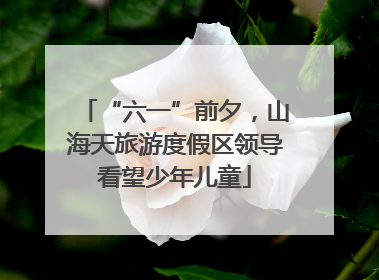 “六一”前夕，山海天旅游度假区领导看望少年儿童