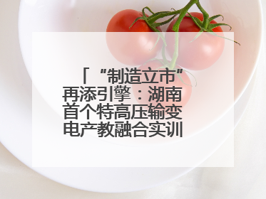 “制造立市”再添引擎：湖南首个特高压输变电产教融合实训基地在衡落户