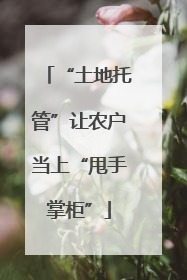 “土地托管”让农户当上“甩手掌柜”