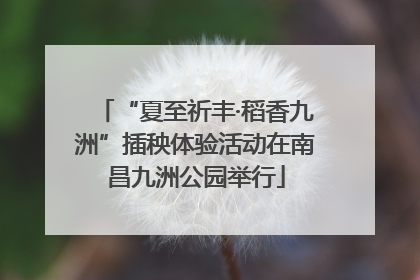 “夏至祈丰·稻香九洲”插秧体验活动在南昌九洲公园举行