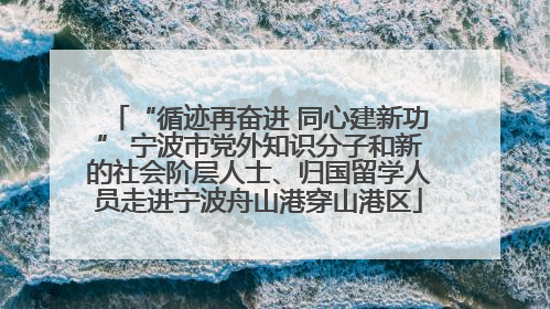 “循迹再奋进 同心建新功” 宁波市党外知识分子和新的社会阶层人士、归国留学人员走进宁波舟山港穿山港区