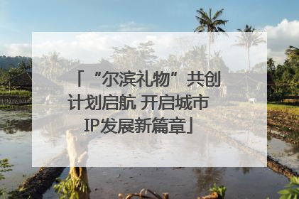 “尔滨礼物”共创计划启航 开启城市IP发展新篇章