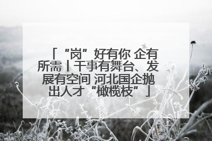 “岗”好有你 企有所需丨干事有舞台、发展有空间 河北国企抛出人才“橄榄枝”