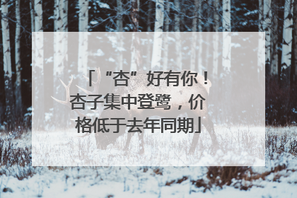 “杏”好有你！杏子集中登鹭，价格低于去年同期