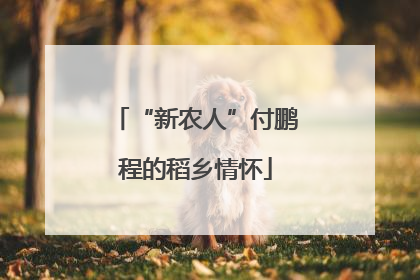 “新农人”付鹏程的稻乡情怀