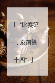“比赛第一，友谊第十四”
