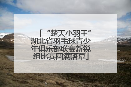 “楚天小羽王”湖北省羽毛球青少年俱乐部联赛新锐组比赛圆满落幕