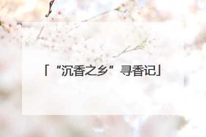 “沉香之乡”寻香记
