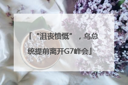 “沮丧愤慨”，乌总统提前离开G7峰会