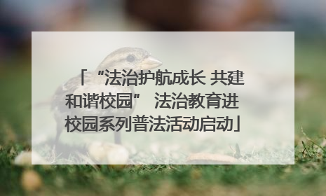 “法治护航成长 共建和谐校园” 法治教育进校园系列普法活动启动