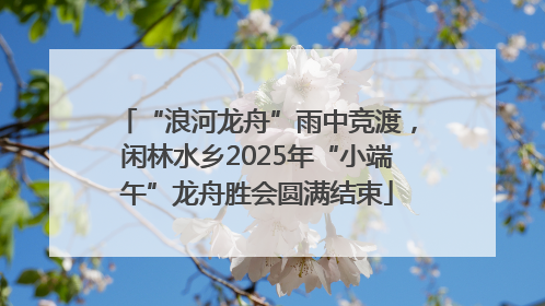“浪河龙舟”雨中竞渡，闲林水乡2025年“小端午”龙舟胜会圆满结束
