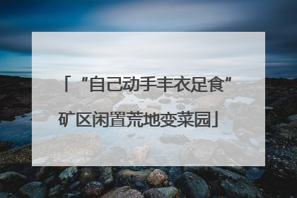 “自己动手丰衣足食”矿区闲置荒地变菜园