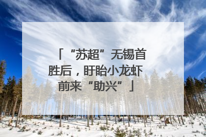 “苏超”无锡首胜后，盱眙小龙虾前来“助兴”