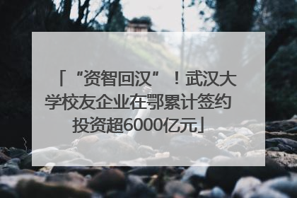 “资智回汉”！武汉大学校友企业在鄂累计签约投资超6000亿元