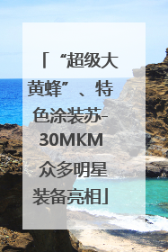 “超级大黄蜂”、特色涂装苏-30MKM 众多明星装备亮相