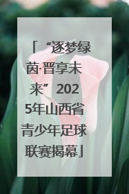 “逐梦绿茵·晋享未来”2025年山西省青少年足球联赛揭幕