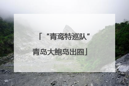 “青鸾特巡队”青岛大鲍岛出圈
