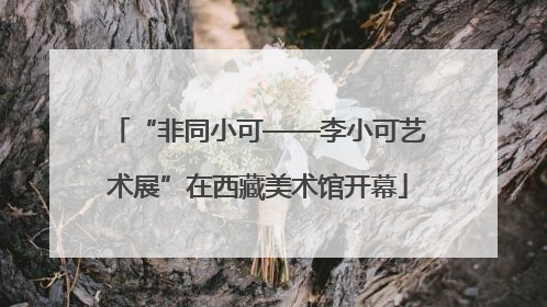 “非同小可——李小可艺术展”在西藏美术馆开幕