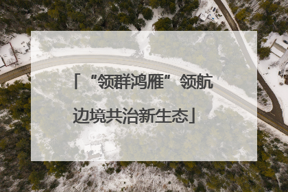 “领群鸿雁”领航边境共治新生态