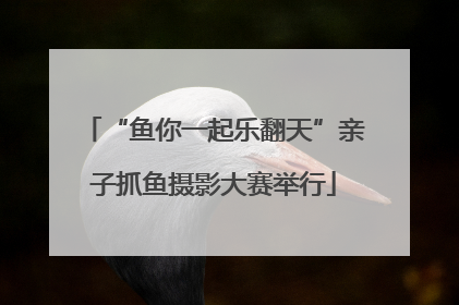 “鱼你一起乐翻天”亲子抓鱼摄影大赛举行
