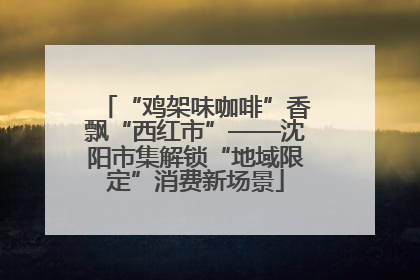 “鸡架味咖啡”香飘“西红市”——沈阳市集解锁“地域限定”消费新场景