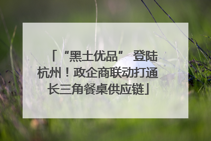 “黑土优品” 登陆杭州！政企商联动打通长三角餐桌供应链