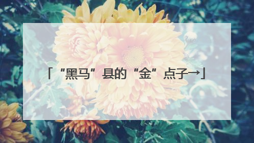 “黑马”县的“金”点子→