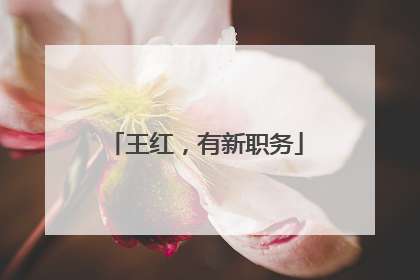 王红，有新职务